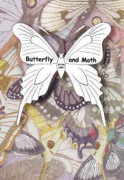 576 butterfly and moth.jpg (141624 バイト)